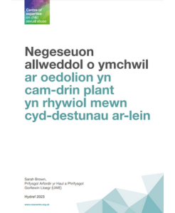 Negeseuon allweddol o ymchwil ar oedolion yn cam-drin plant yn rhywiol mewn cyd-destunau ar-lein